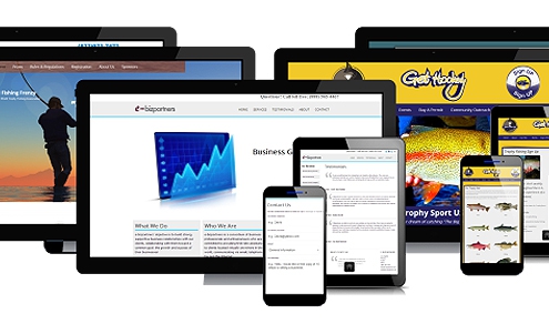 Diseño y desarrollo de sitios web