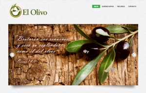 elolivo.org.mx